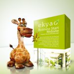 Design Ekyao Business START Entreprise et Bureau