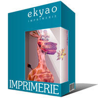 Ekyao IMPRIMERIE Info