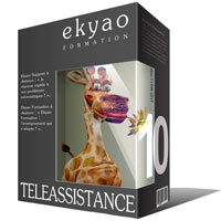 Ekyao TELEASSISTANCE SUPPORT 10