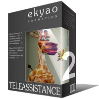 Ekyao TELEASSISTANCE SUPPORT 2