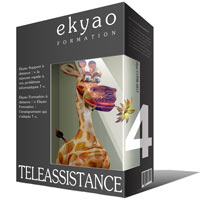 Ekyao TELEASSISTANCE SUPPORT 4