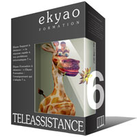 Ekyao TELEASSISTANCE SUPPORT 6