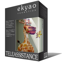 Ekyao TELEASSISTANCE SUPPORT Info