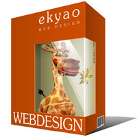 Ekyao WEB DESIGN Info